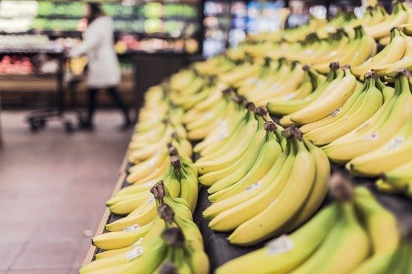rows of bananas on display at a supermarket.