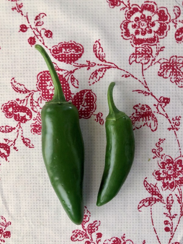 2 jalapeños on a white and red tablecloth.