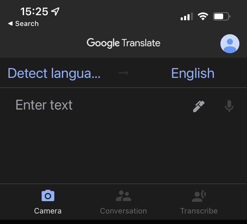 screenshot of google translate.